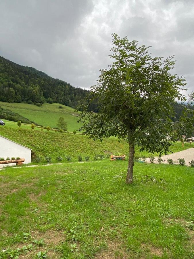 Apartma Lupis Podvolovljek Экстерьер фото